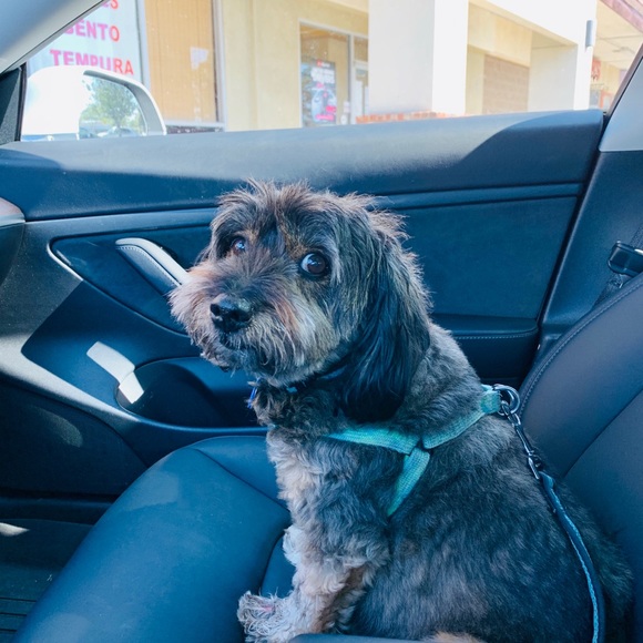 Meet your Posher, Som-usa - Picture 1 of 1